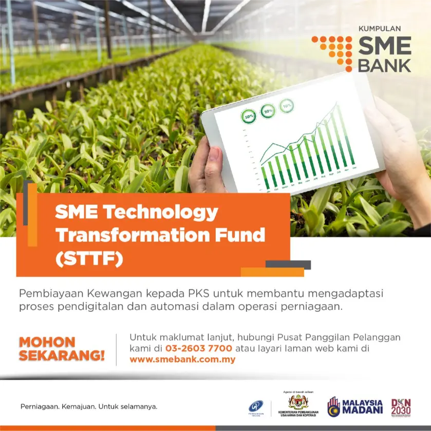 SME Technology Transformation Fund fund web page